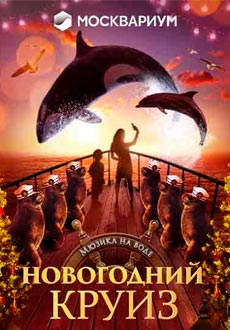 Новогодний круиз