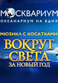 Вокруг света за новый год